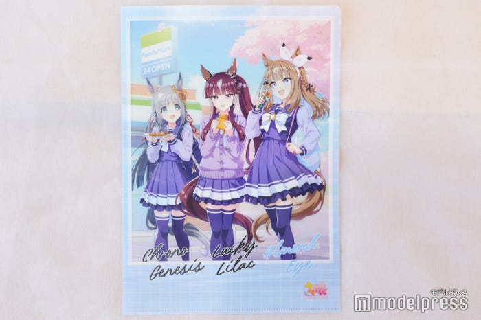 オリジナルA4マジッククリアファイル(C)モデルプレス