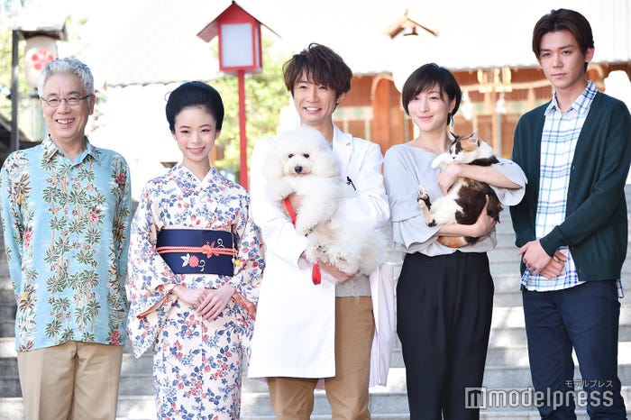 ジャニーズwest小瀧望 胸を射抜かれた 子猫ちゃん 明かす 手越くんじゃないですけど 僕とシッポと神楽坂 モデルプレス ジャニーズwest小瀧望 胸を射抜かれた 子猫ちゃん 明かす 手越くんじゃないですけど 僕とシッポと神楽坂 モデルプレス