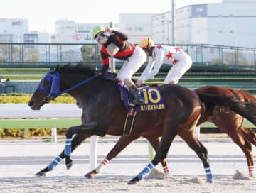 【地方競馬】ディクテオンが20年ぶりに地方馬による東京大賞典制覇を達成