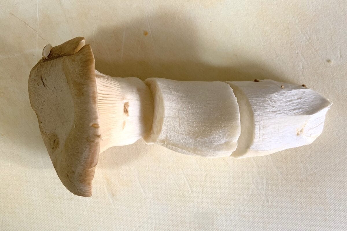 きのこホットサンド