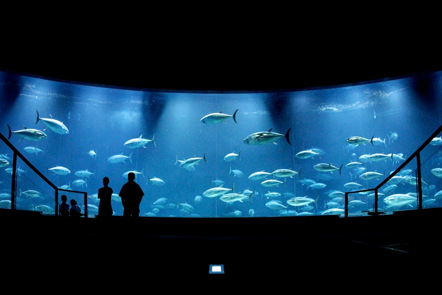 葛西臨海水族園