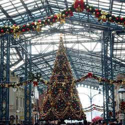 ワールドバザールの巨大なクリスマスツリー/東京ディズニーランド
