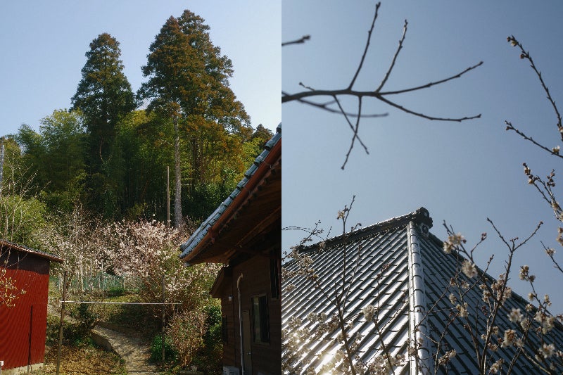 季舟庵／画像提供：TOMODACHI．Ltd