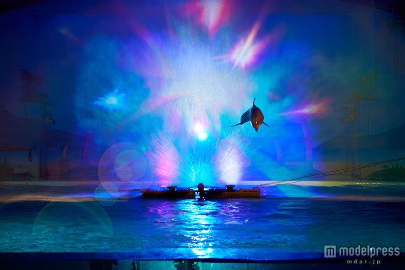 「ウミージカルショー ～La・Paci（ラ・パーシ）～」／ウォータースクリーンから飛び出すイルカは大迫力