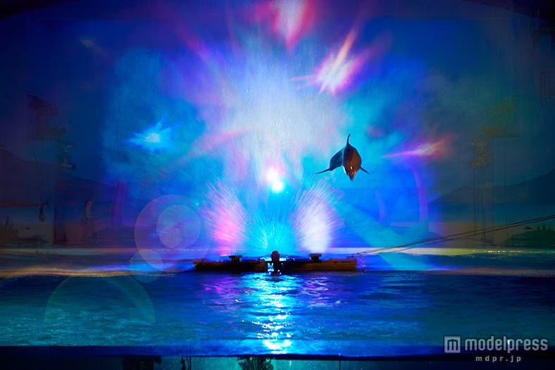 「ウミージカルショー ~La・Paci(ラ・パーシ)~」/ウォータースクリーンから飛び出すイルカは大迫力