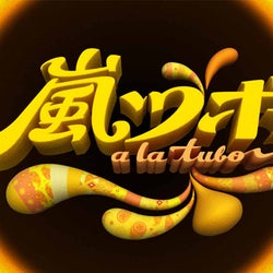 嵐、熱烈な男性嵐ファンとマニアックな嵐クイズで対決!『嵐ツボ』