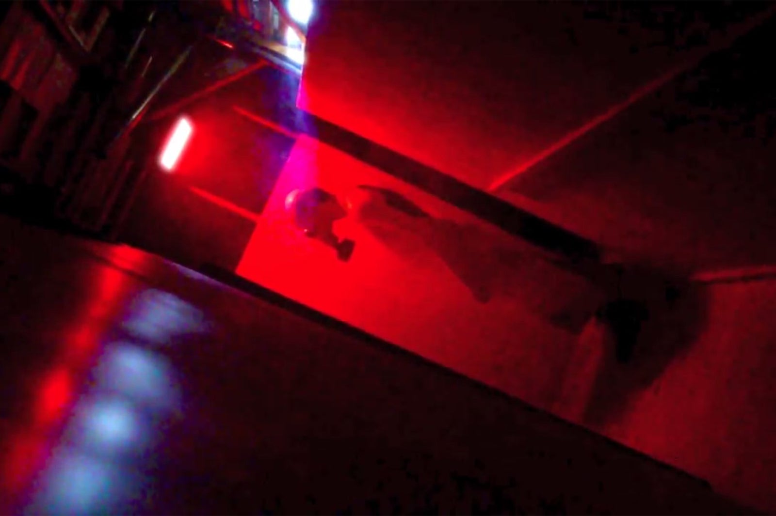 Summer killer／画像提供：ASOBIBA