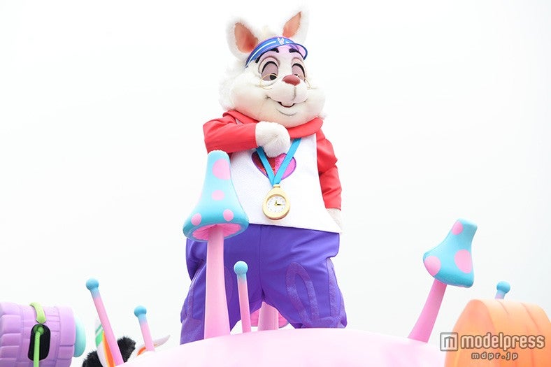 ホワイトラビット