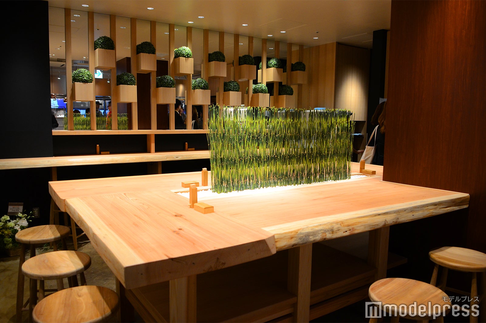 ご馳走そば そら（C）モデルプレス