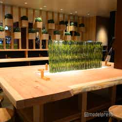 ご馳走そば そら(C)モデルプレス