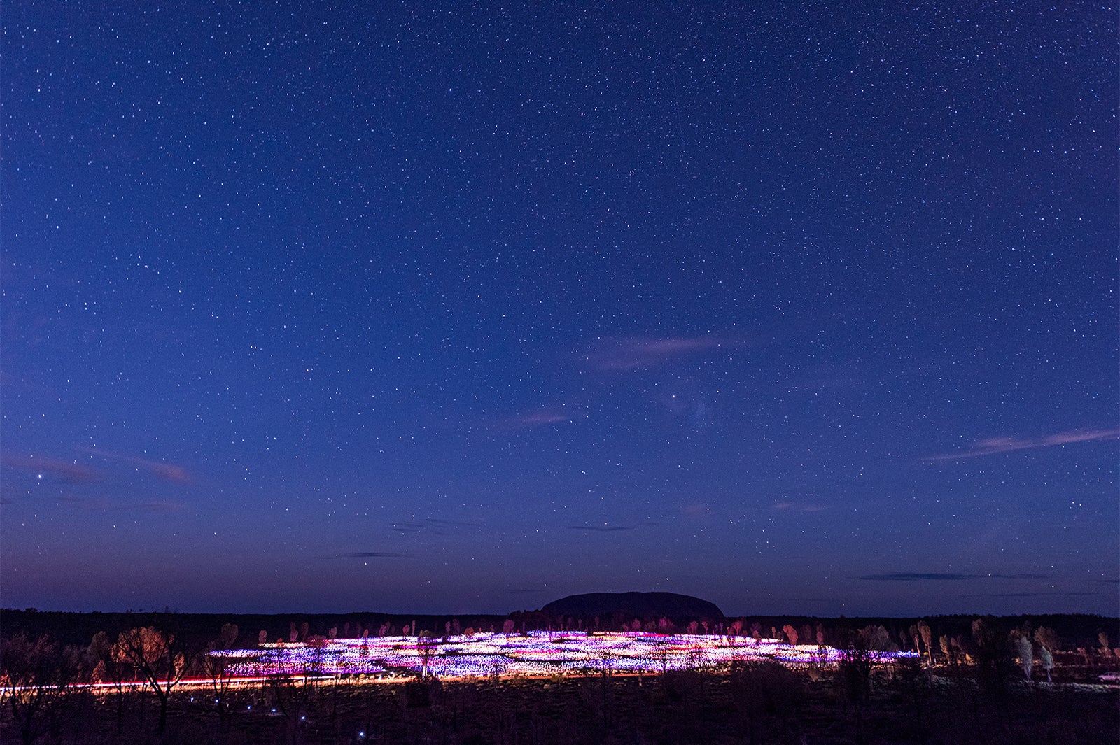 フィールド・オブ・ライト／画像提供：ノーザンテリトリー政府観光局