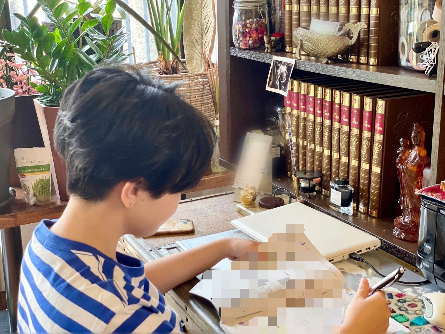 さくらまや公式Xより