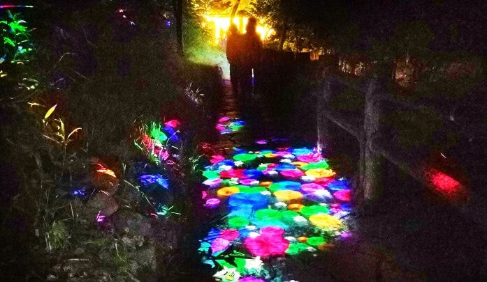 遊歩道を彩る光の落ち葉