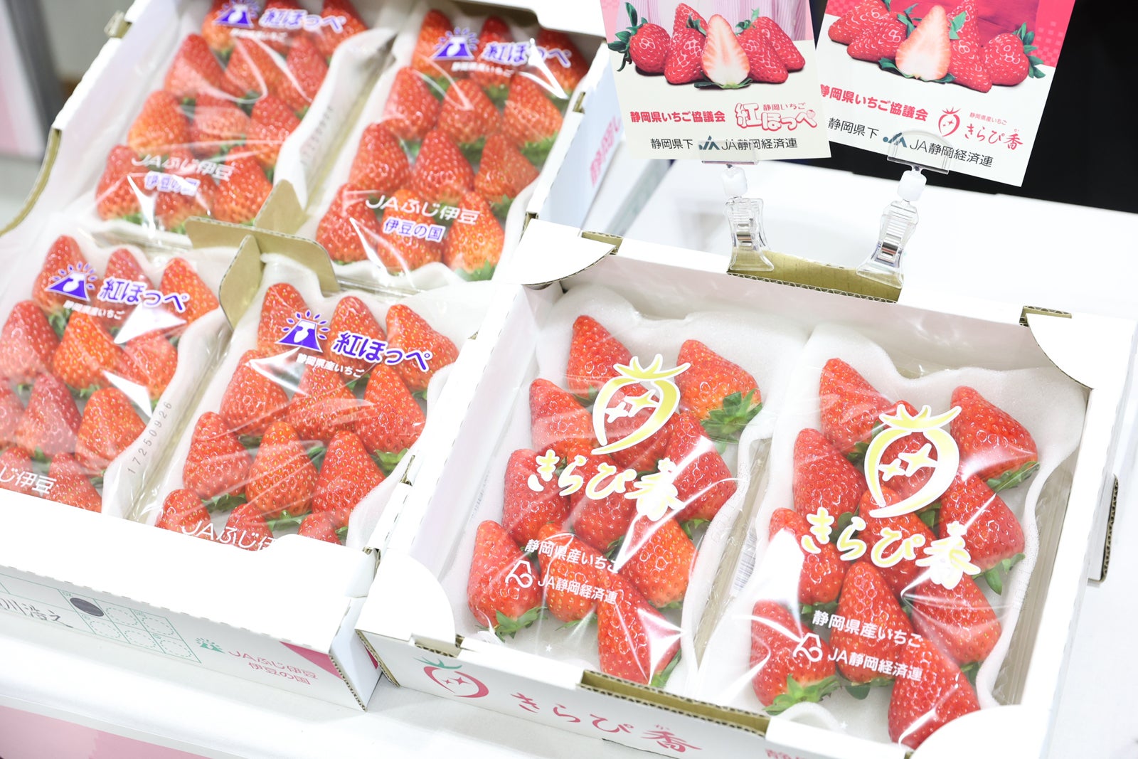 「TGCしずおか2025」ケータリング（C）SDGs推進 TGC しずおか 2025 by TOKYO GIRLS COLLECTION