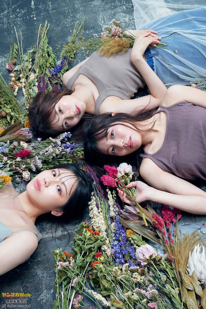 (上から)松田好花、河田陽菜、渡邉美穂(C)岡本武志/ヤンマガWeb