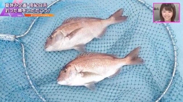 お造り・煮付け・お寿司にも！釣った魚をすぐに楽しめる和歌山のスポット
