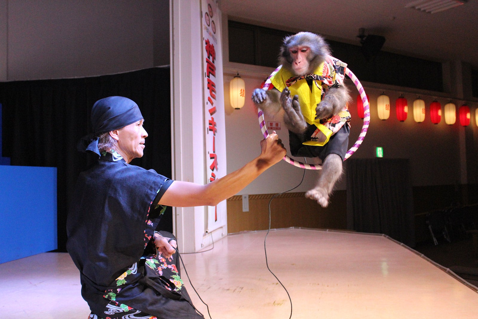 モンキーショー／画像提供：イルミナージュ事務局