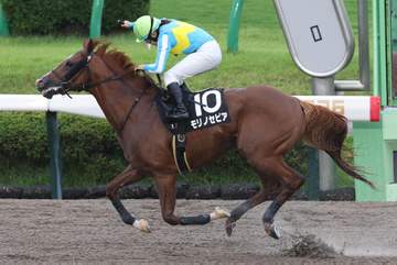 小林美駒騎手が中山10Rで今年のJRA39勝目＆105勝目 「ペースが速くなるのは分かっていたので、前2頭を見る形でレースを進めました。結果を出せて良かった」