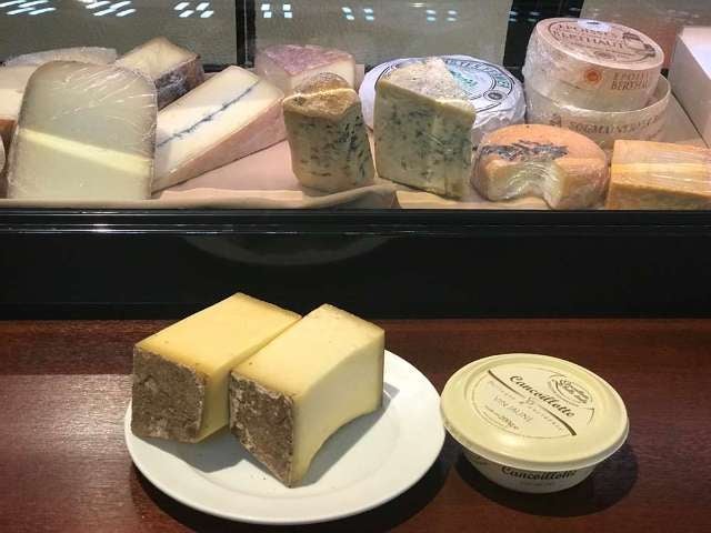 column_f66f2bb5327752161852ec5df092c392.