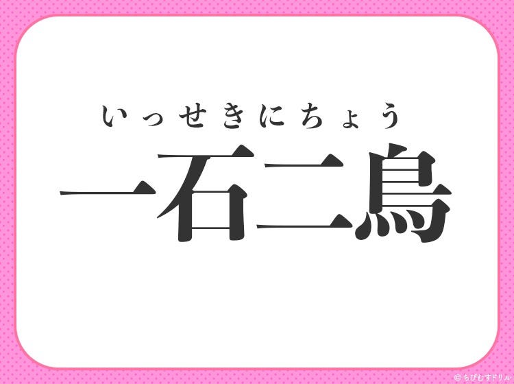 一つの石を投げて二羽の鳥をしとめる 四字熟語とは モデルプレス