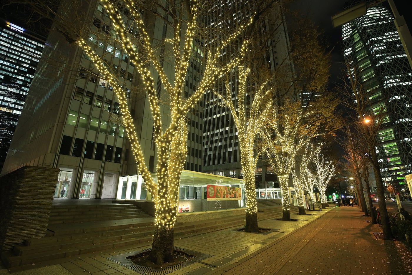 ケヤキ並木のイルミネーション／画像提供：西新宿街ぐるみプロジェクト