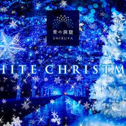青の洞窟 SHIBUYA WHITE CHRISTMAS/画像提供:日清フーズ