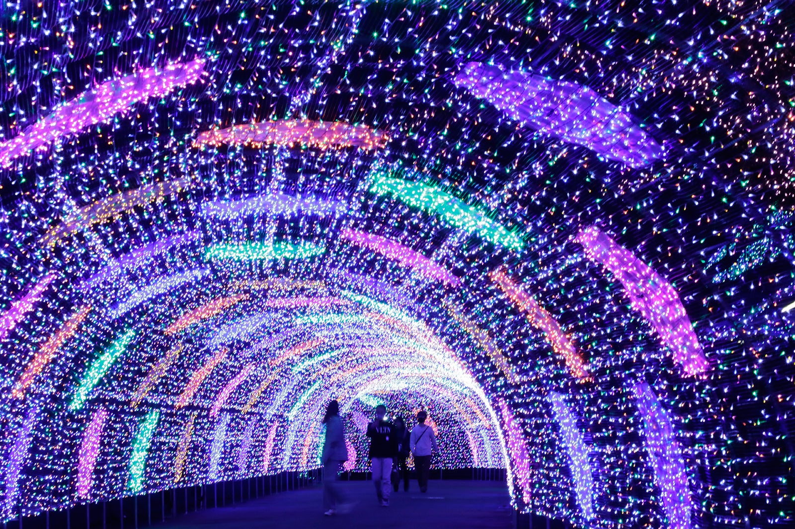 よみうりランド ジュエルミネーション／画像提供：よみうりランド