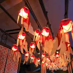 すみだ水族館(C)モデルプレス