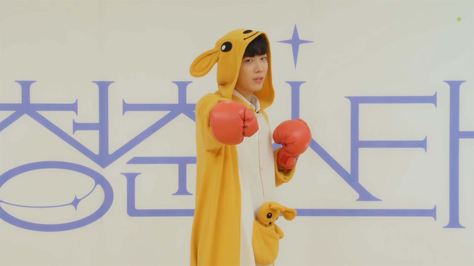 アイドル派／No.26ロビン （C）CHANNEL A All rights reserved