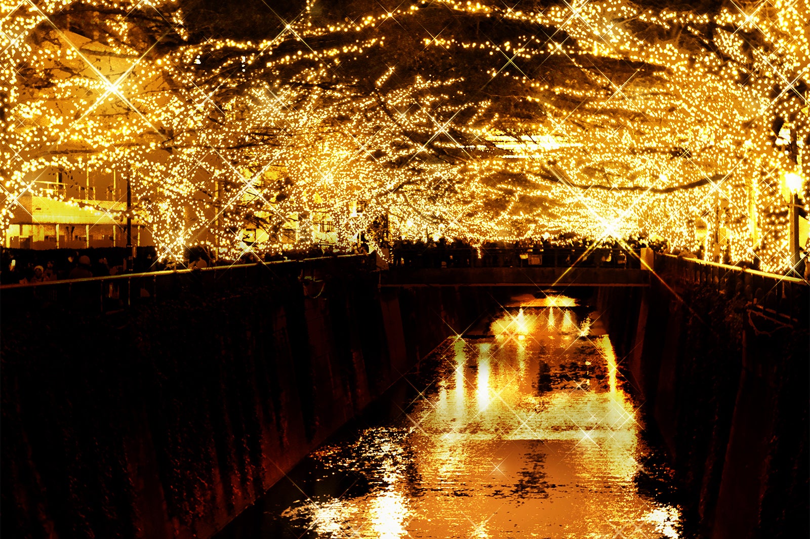 目黒川が圧巻の黄金イルミ30万球きらめく「黄金のドーム」に変貌