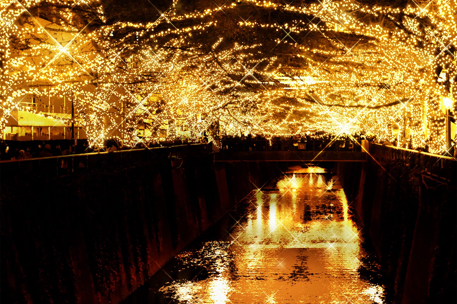 目黒川が圧巻の黄金イルミ30万球きらめく「黄金のドーム」に変貌