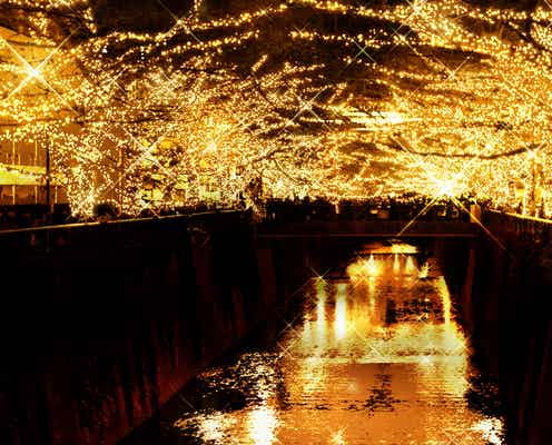 目黒川が圧巻の黄金イルミ30万球きらめく「黄金のドーム」に変貌