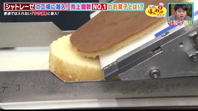 スポンジをカット