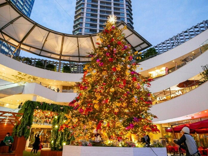 横浜ベイクォーターのメイン広場には高さ8mの本物のモミの木のクリスマスツリーが点灯（2022年11月10日撮影）