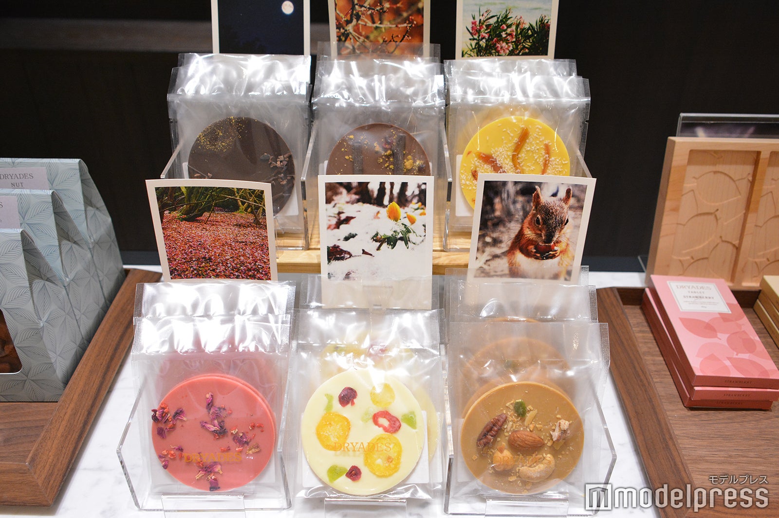 DRYADES（C）モデルプレス