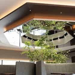 ENOWA YUFUIN/提供画像