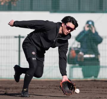 阪神・高寺 体重アップで打球速度アップへ「1軍でアピールするなら僕は率」打率向上目指す