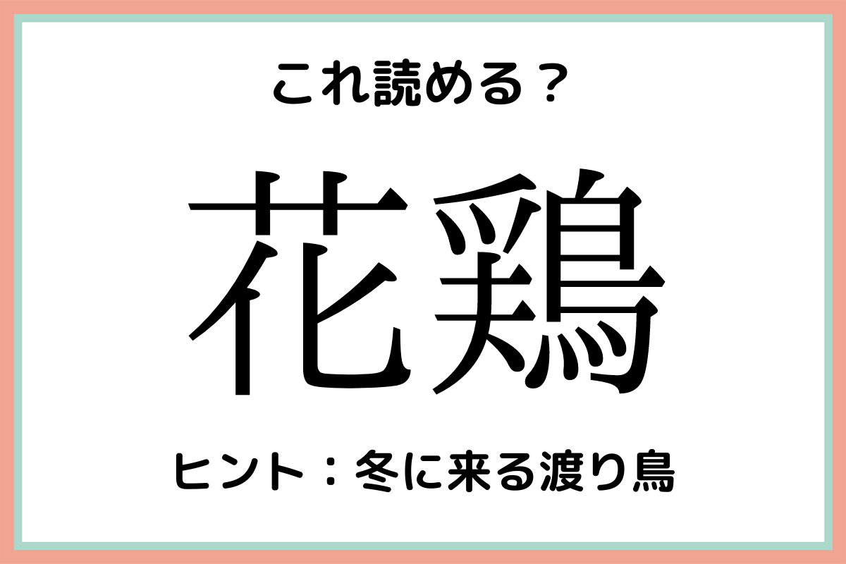 花鶏 はなどり 読めたらスゴイ 難読漢字 4選 モデルプレス