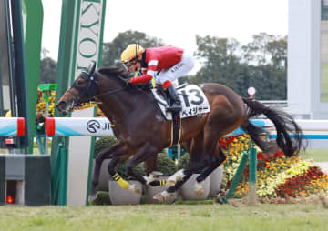 【新馬戦】ペイジャー ゴール寸前で差し切りV 福永師苦笑「粗削りの極み」も今後に期待