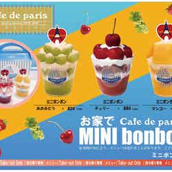 ミニボンボン/画像提供:アスリン