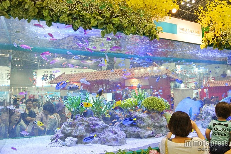 14トンの大迫力水槽が登場した「沖縄観光コンベンションビューロー」