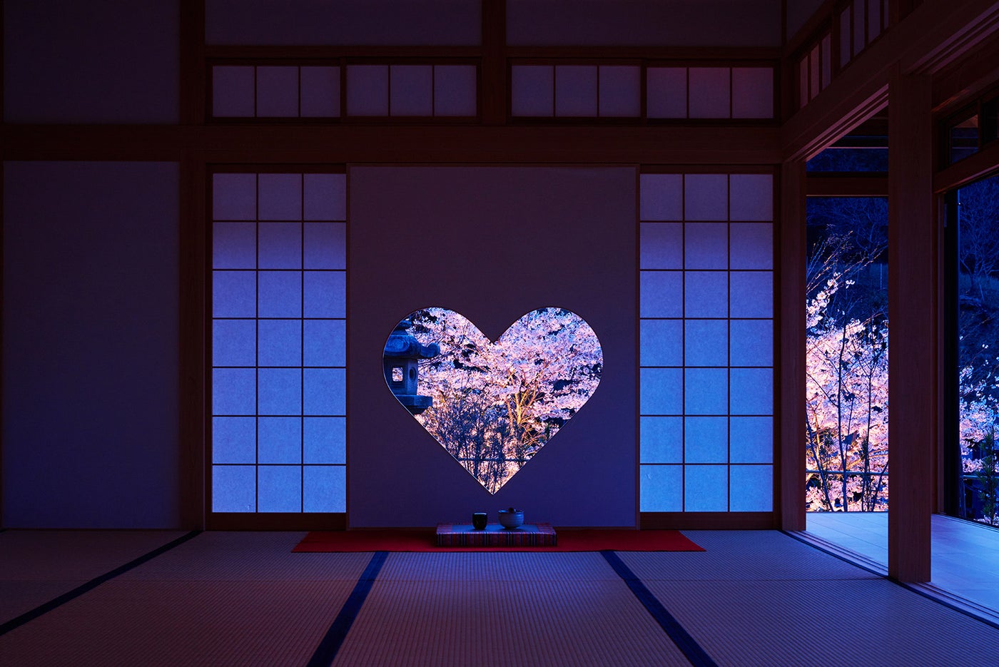 京都「正寿院」の夜桜ライトアップが幻想的　初の一般公開へ／画像提供：正寿院