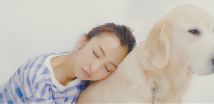 板野友美「#いいね!」MVより(提供画像)