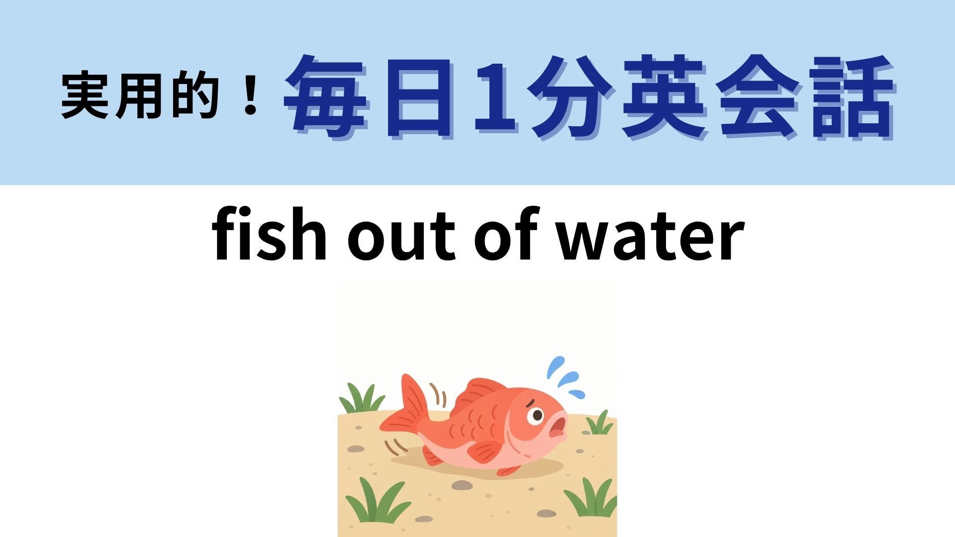 「fish out of water」の意味は？水から出た魚の気持ちを想像してみて！【1分英会話】