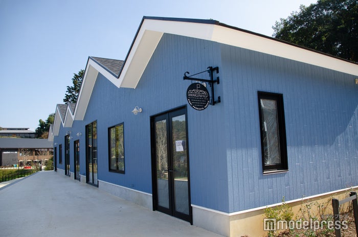 メッツァビレッジ（C）ビューティーガール