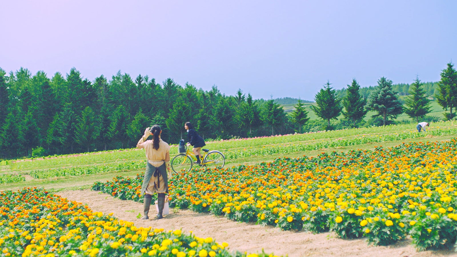 2006年（デビュー）AKB48「サステナブル」MV（C）AKS／キングレコード