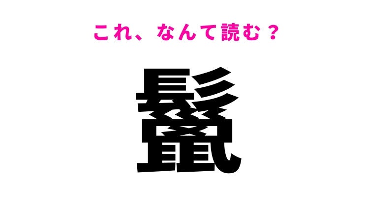 【漢字クイズ】「鬣」はなんて読む？ライオンに生えているあれのこと！