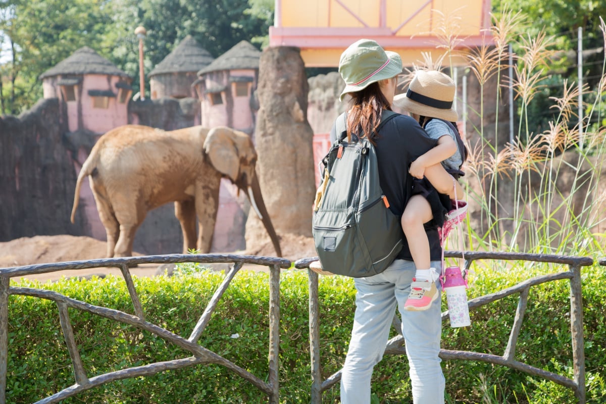 家族みんなで動物園に行きたいのに 動物嫌いの旦那が一緒に来てくれない ママの取るべき対応は モデルプレス