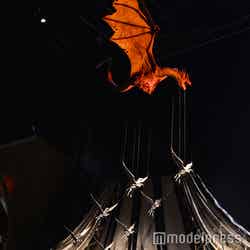 炎のゴブレット/ワーナー ブラザース スタジオツアー東京 – メイキング・オブ・ハリー・ポッター(C)モデルプレス