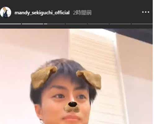 GENERATIONSで“最も可愛いわんこ”決定戦「ジェネわんグランプリ」が話題